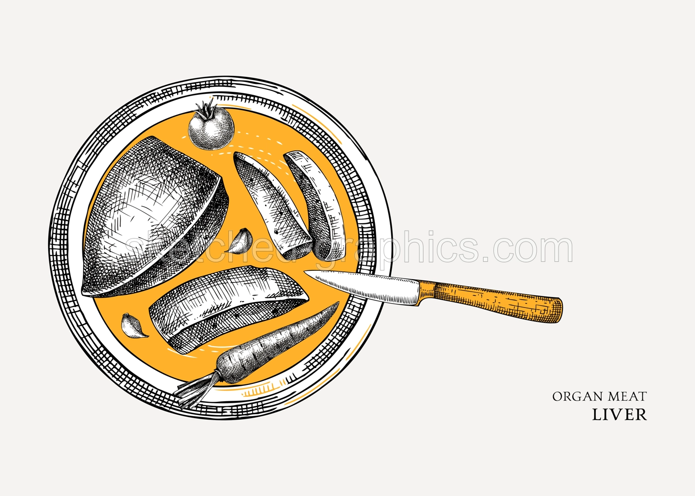Beef liver design. Internal organs of farm animal drawings. Healthy food sketch. Hand drawn vector Illustrations on a white background. Cattle organ meat, offal, ingredients, butchery design elements. Illustration